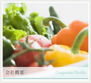 ��ЊT�v [CORPORATE PROFILE]