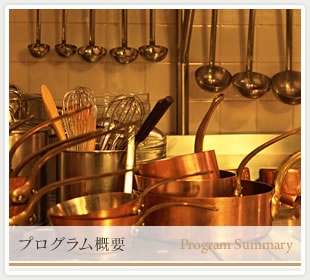 �v���O�����T�v [PROGRAM SUMMARY]